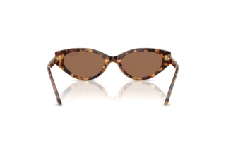 Rückansicht Swarovski SK6030 (104073)