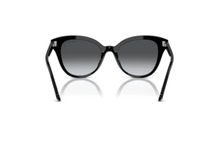 Rückansicht Swarovski SK6031 (1001T3)