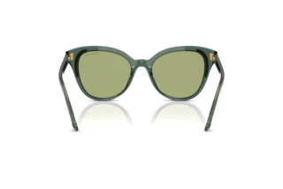 Rückansicht Swarovski SK6031 (104382)