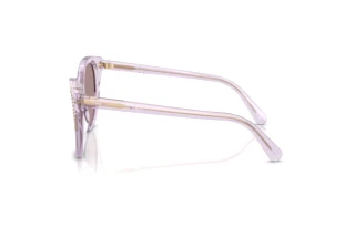 Seitenansicht Swarovski SK6031 (1079LA)