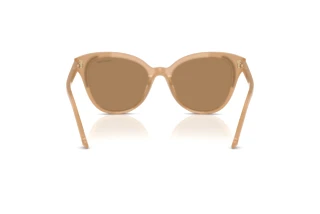 Rückansicht Swarovski SK6031 (2002M4)