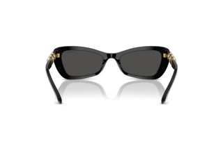 Rückansicht Swarovski SK6033 (100187)