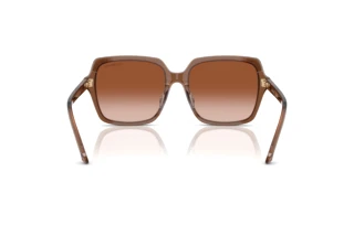 Rückansicht Swarovski SK6034D (106713)