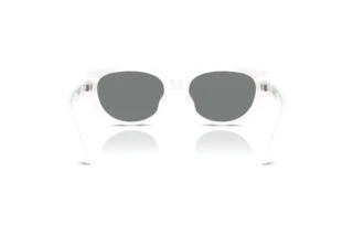 Rückansicht Swarovski SK6035D (105087)