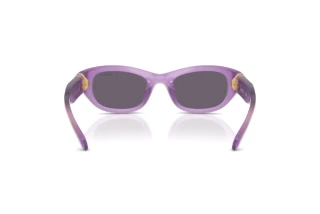 Rückansicht Swarovski SK6036U (10751A)