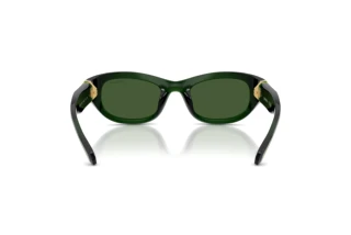 Rückansicht Swarovski SK6036U (108171)