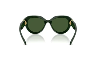 Rückansicht Swarovski SK6037 (102671)