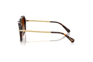 Seitenansicht Swarovski SK6040 (100274)