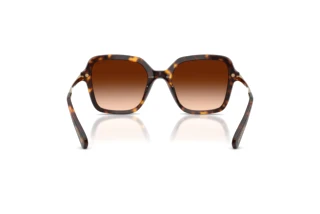 Rückansicht Swarovski SK6040 (100274)