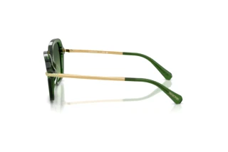 Seitenansicht Swarovski SK6040 (10812A)