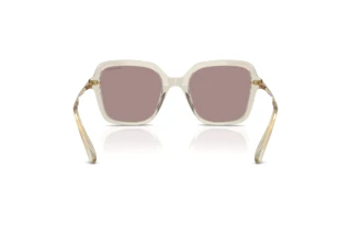 Rückansicht Swarovski SK6040 (3003LA)