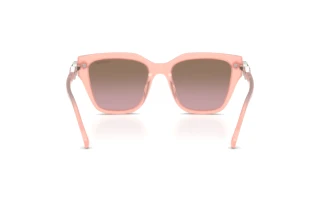 Rückansicht Swarovski SK6041 (104114)