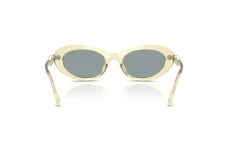 Rückansicht Swarovski SK6042 (1080/1)