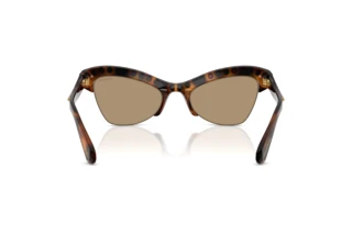 Rückansicht Swarovski SK6043 (100271)