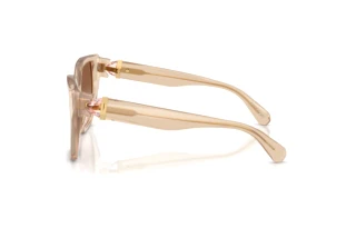 Seitenansicht Swarovski SK6044U (103413)