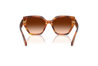 Rückansicht Swarovski SK6044U (109174)