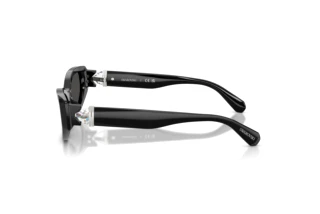 Seitenansicht Swarovski SK6045U (100187)