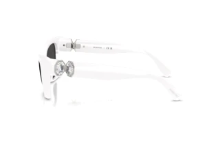 Seitenansicht Swarovski SK6047 (105087)