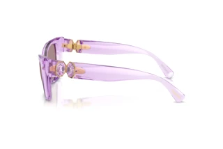 Seitenansicht Swarovski SK6047 (1079LA)