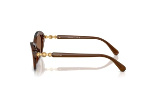 Seitenansicht Swarovski SK6048 (108473)