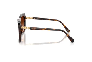 Seitenansicht Swarovski SK6049 (100274)