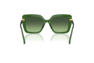 Rückansicht Swarovski SK6049 (10812A)