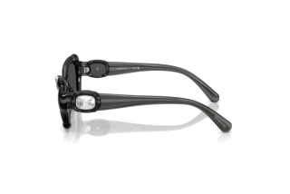 Seitenansicht Swarovski SK6050 (108787)