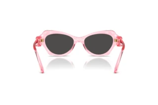 Rückansicht Swarovski SK6050 (108887)