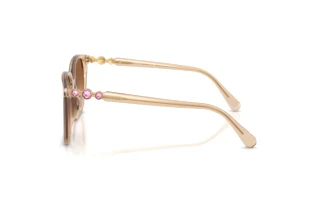 Seitenansicht Swarovski SK6053D (103413)