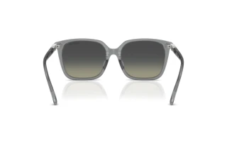 Rückansicht Swarovski SK6053D (106211)