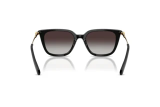 Rückansicht Swarovski SK6054D (10018G)