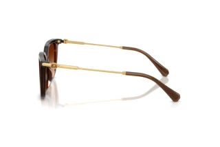 Seitenansicht Swarovski SK6054D (108474)