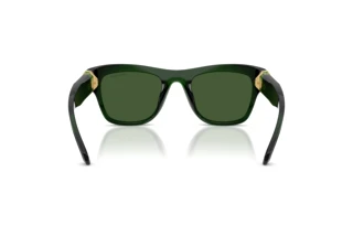 Rückansicht Swarovski SK6056U (108171)