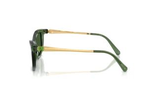 Seitenansicht Swarovski SK6057 (108571)