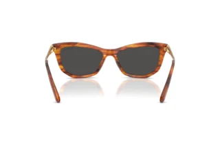 Rückansicht Swarovski SK6057 (109187)