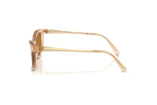 Seitenansicht Swarovski SK6057 (109273)