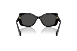 Rückansicht Swarovski SK6058U (100187)