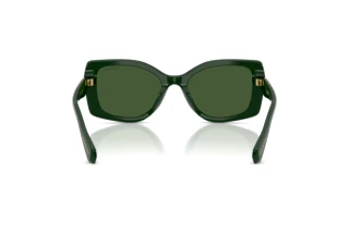 Rückansicht Swarovski SK6058U (102671)