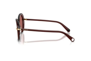 Seitenansicht Swarovski SK6059 (109869)