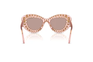 Rückansicht Swarovski SK6060 (30017N)