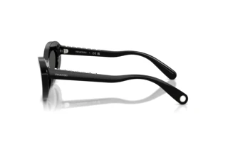 Seitenansicht Swarovski SK6061U (100187)