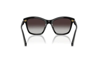 Rückansicht Swarovski SK6063 (10018G)