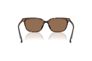 Rückansicht Swarovski SK6064D (100273)