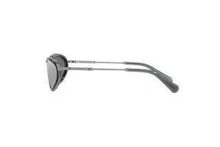 Seitenansicht Swarovski SK7004 (40116G)