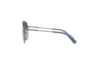 Seitenansicht Swarovski SK7005 (40098F)