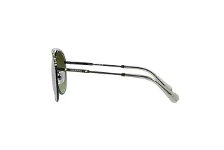 Seitenansicht Swarovski SK7005 (4010E8)