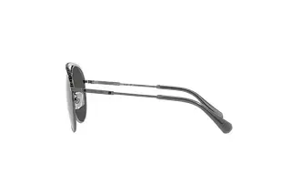 Seitenansicht Swarovski SK7005 (401187)