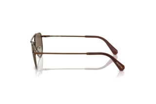 Seitenansicht Swarovski SK7007 (401673)