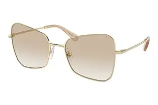 Swarovski SK7008 401311