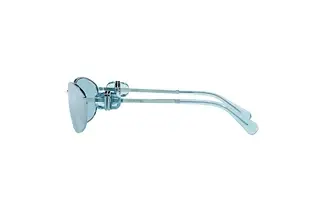 Seitenansicht Swarovski SK7010 (40081N)